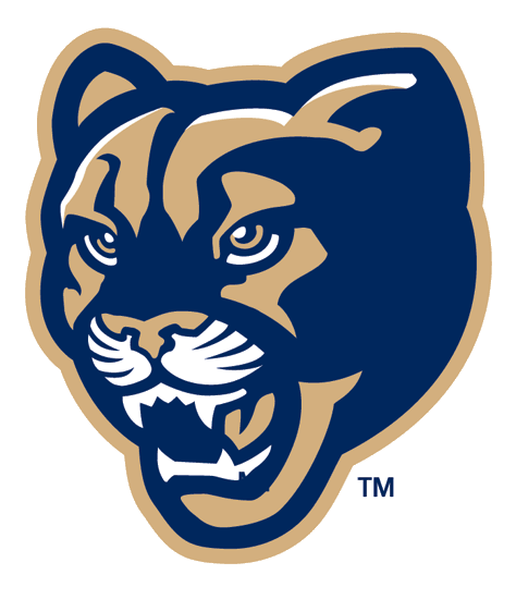 Brigham Young Cougars 1999-2004 Alternate Logo v4 diy DTF decal sticker